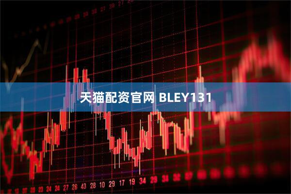 天猫配资官网 BLEY131