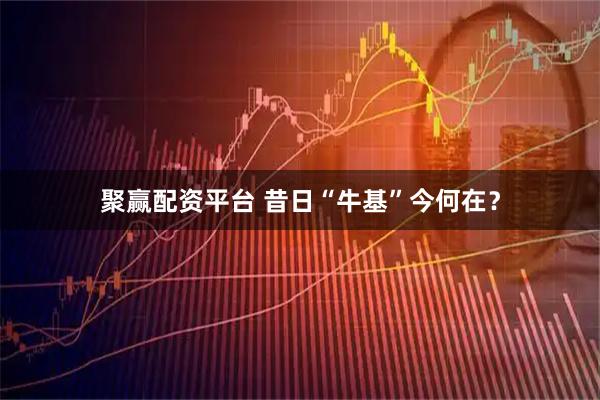 聚赢配资平台 昔日“牛基”今何在？